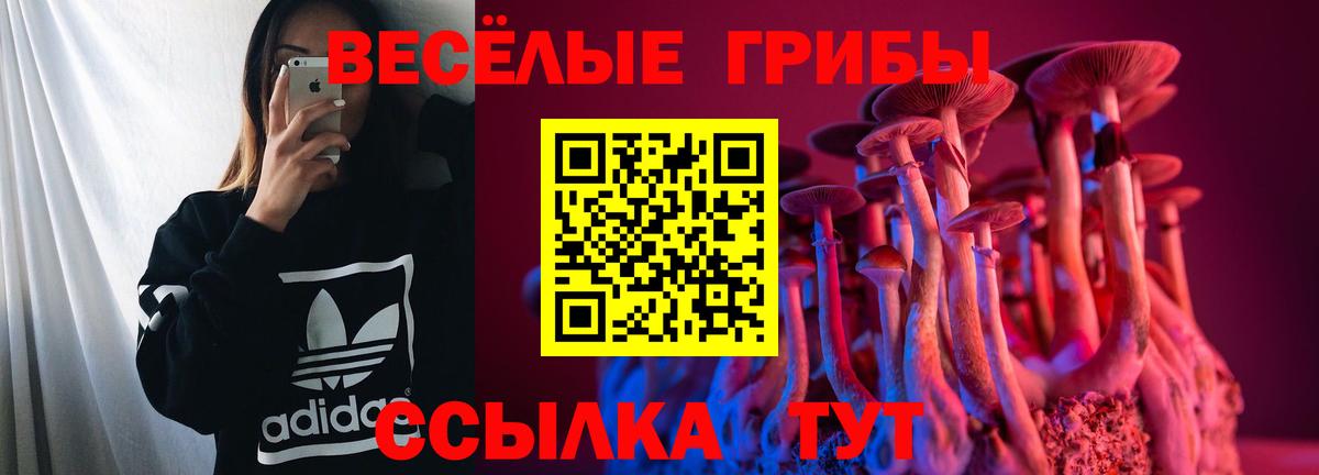 Отрадное  Галлюциногенные грибы Psilocybine cubensis  Вход с VPN  Галлюциногенные грибы Psilocybine cubensis 